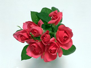2011090321011627096.jpg
